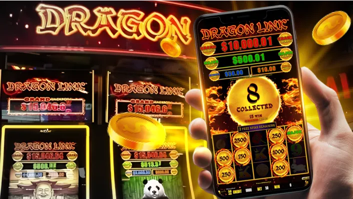 Jilimacao Live Casino